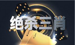 彩精准免费材料大全4手机版V